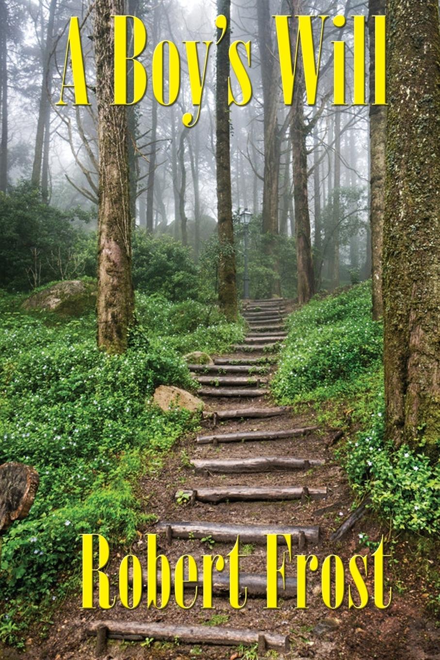 Vorderes Coverbild A Boy's Will