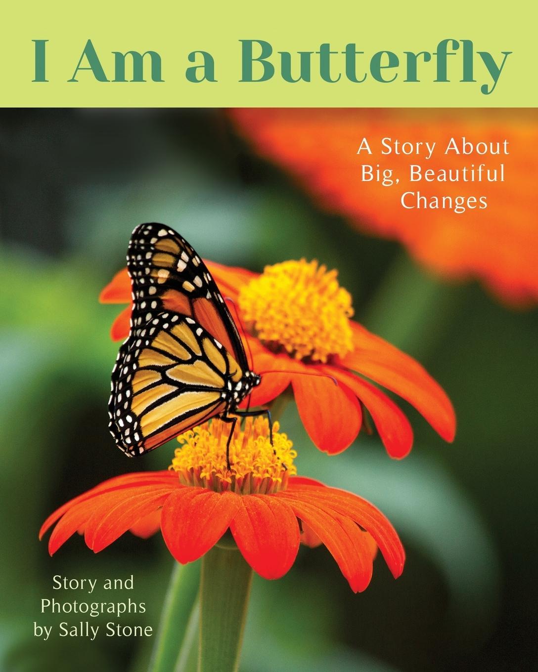Vorderes Coverbild I Am a Butterfly