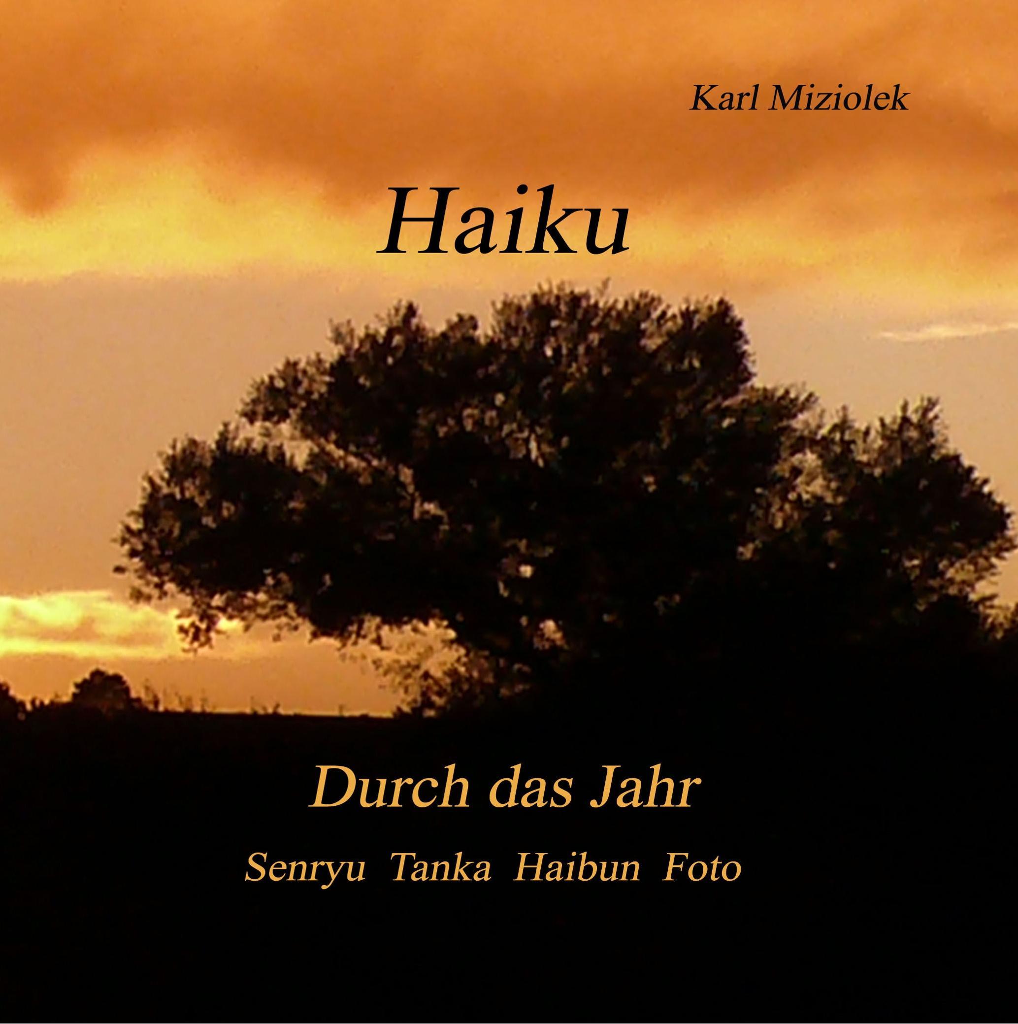 Vorderes Coverbild Haiku