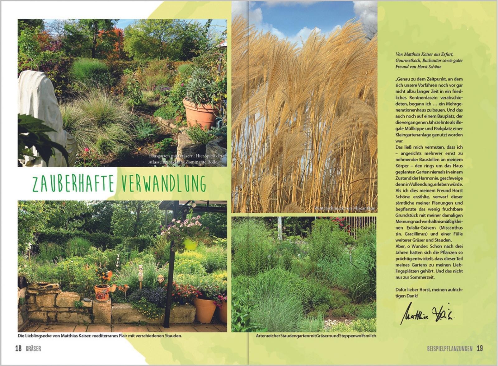 Beispielinhalt (Bild) MDR Garten - Gräser