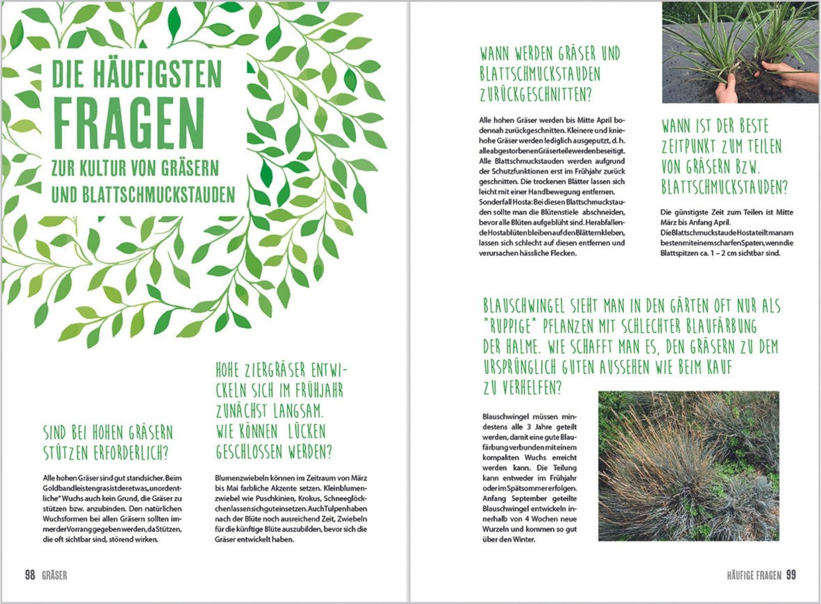 Beispielinhalt (Bild) MDR Garten - Gräser