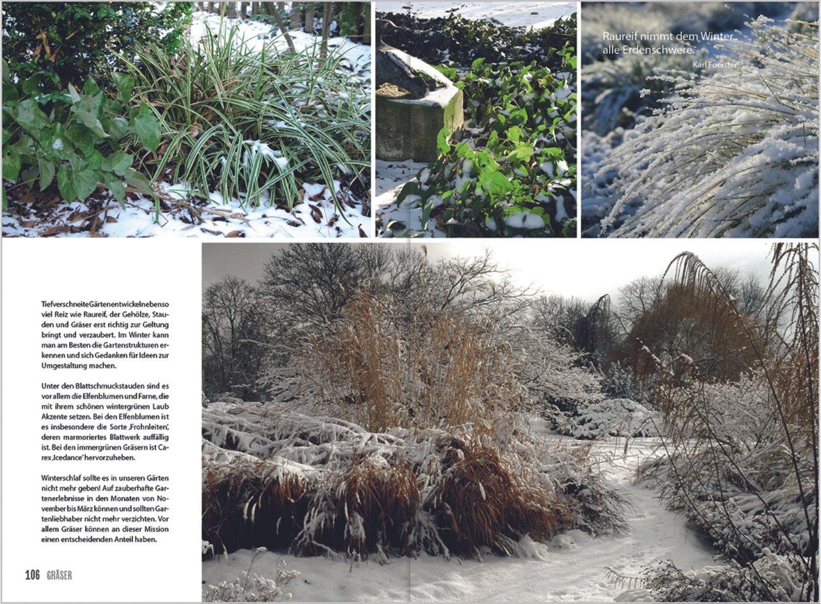 Beispielinhalt (Bild) MDR Garten - Gräser