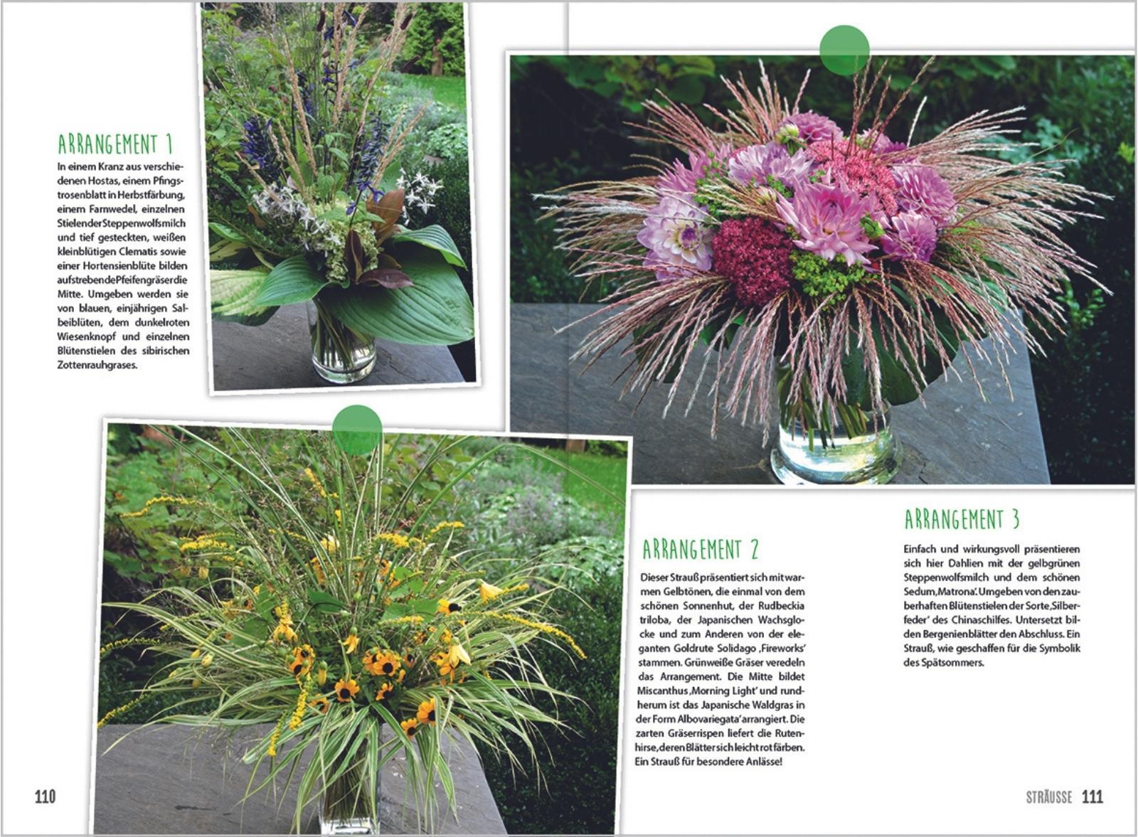 Beispielinhalt (Bild) MDR Garten - Gräser