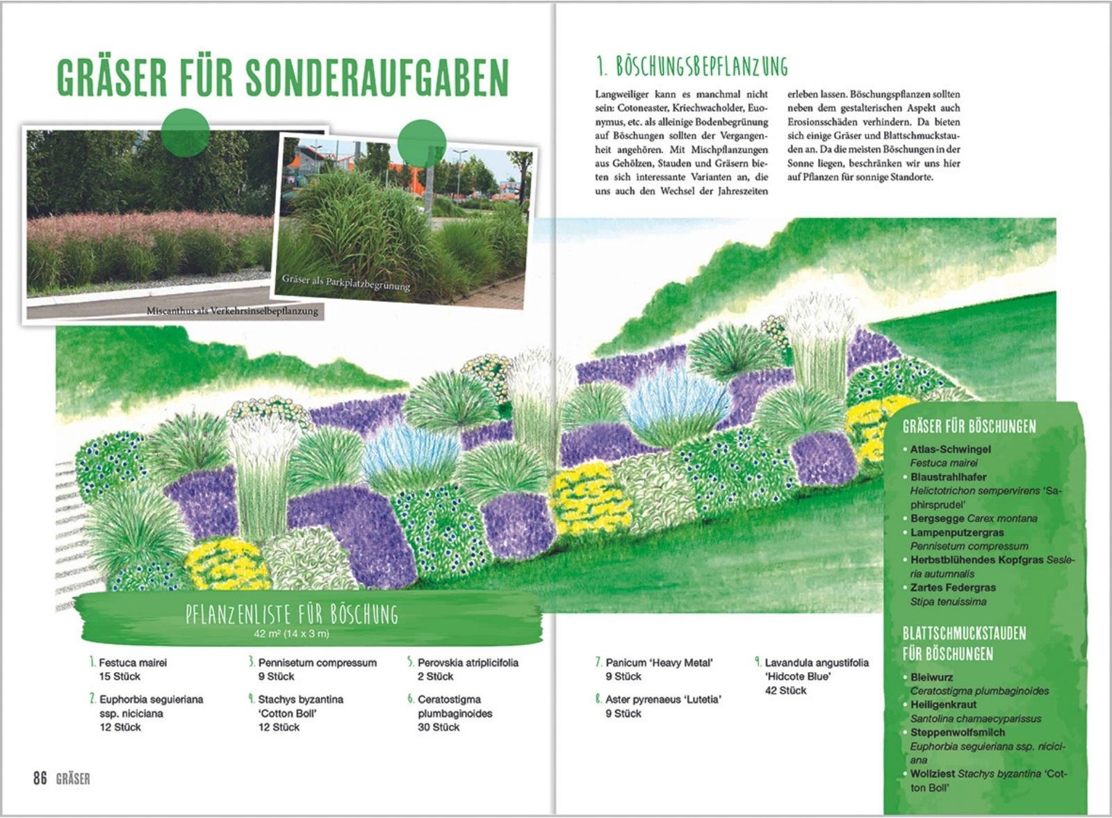 Beispielinhalt (Bild) MDR Garten - Gräser