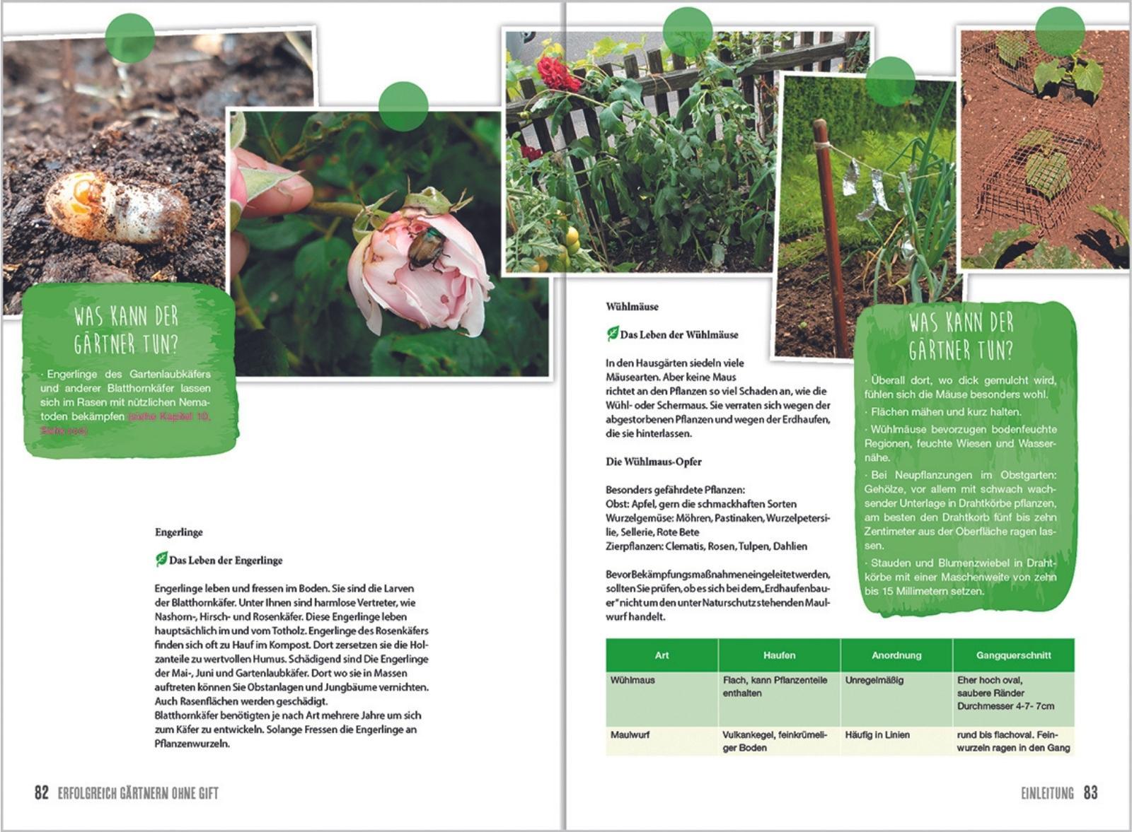 Beispielinhalt (Bild) MDR Garten - Erfolgreich Gärtnern ohne Gift