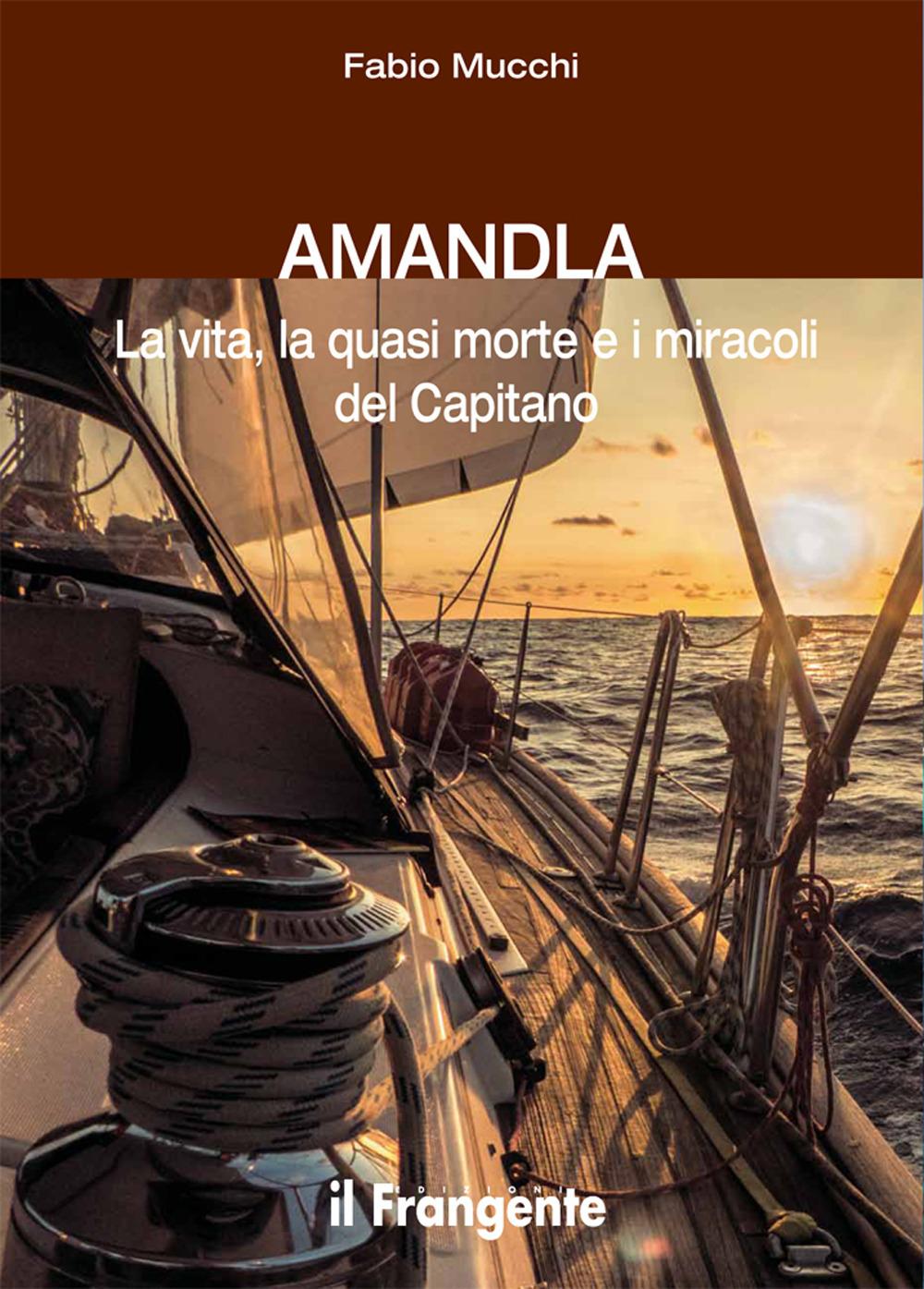 Vorderes Coverbild Amandla. La vita, la quasi morte e i miracoli del Capitano