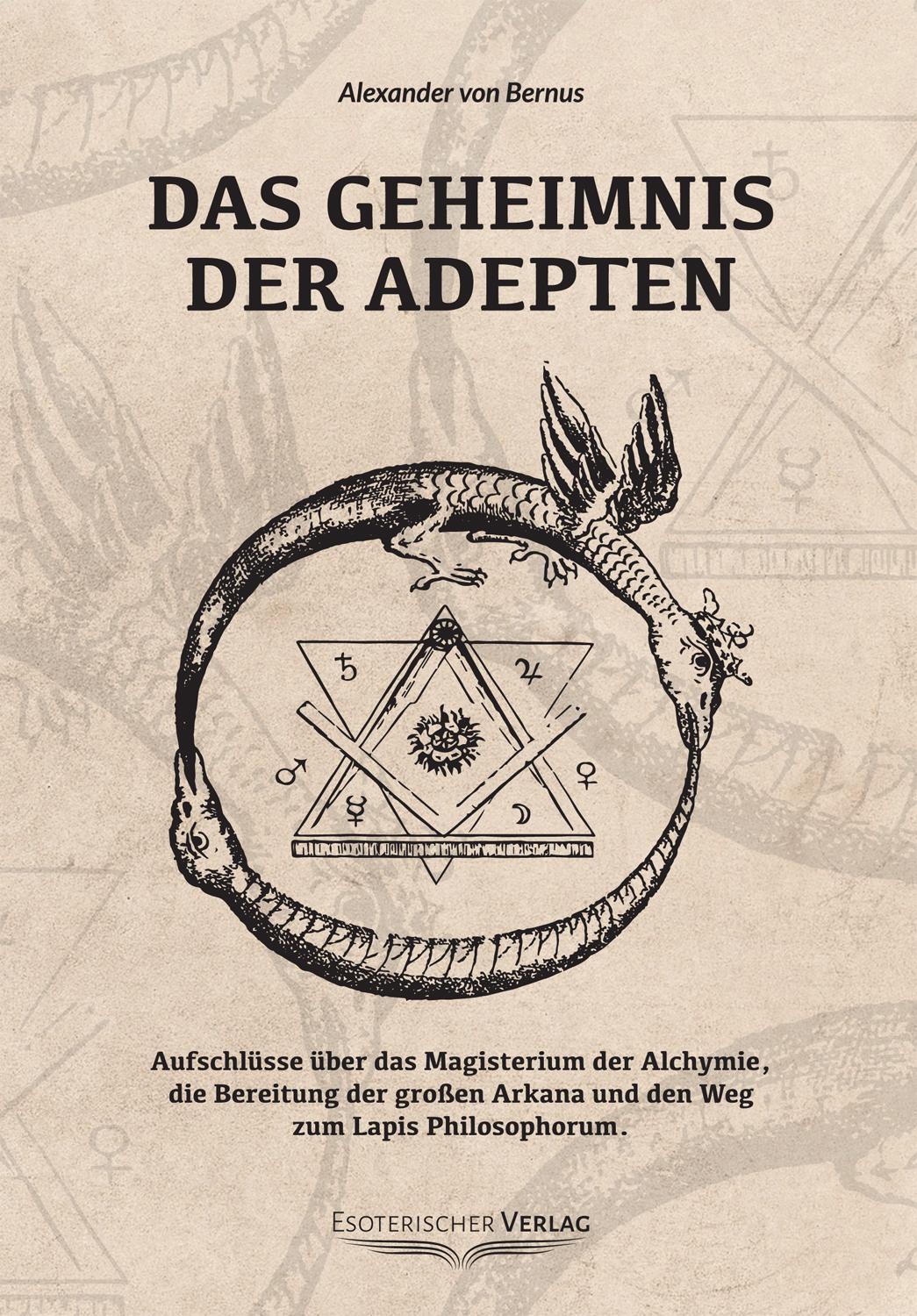 Vorderes Coverbild Das Geheimnis der Adepten