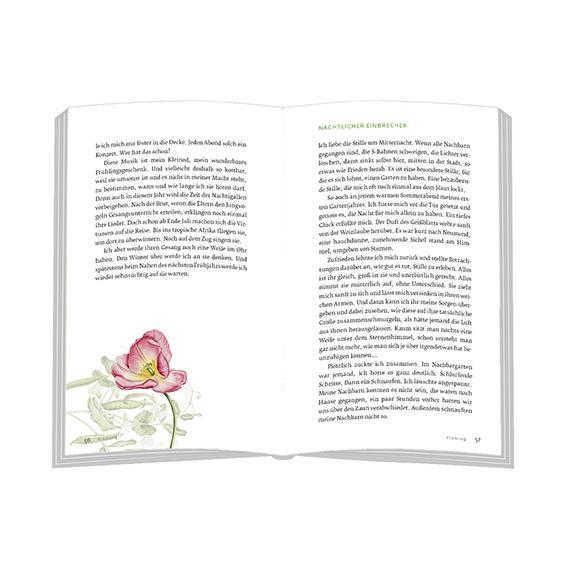 Beispielinhalt (Bild) Wo die Seele aufblüht