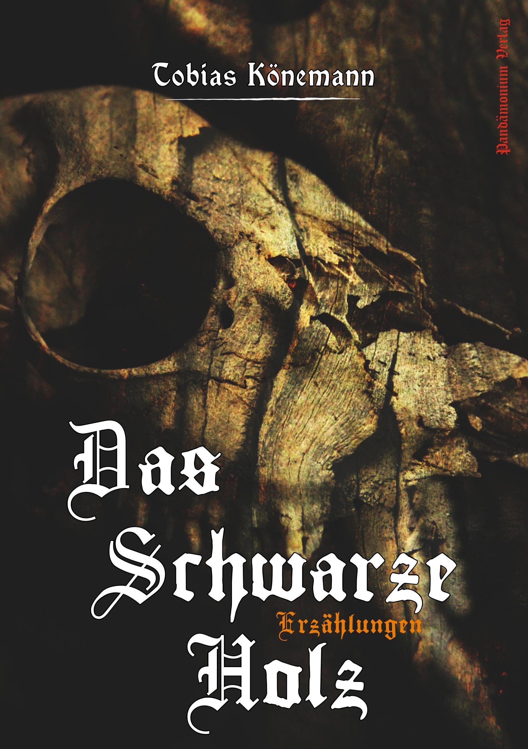 Vorderes Coverbild Das Schwarze Holz