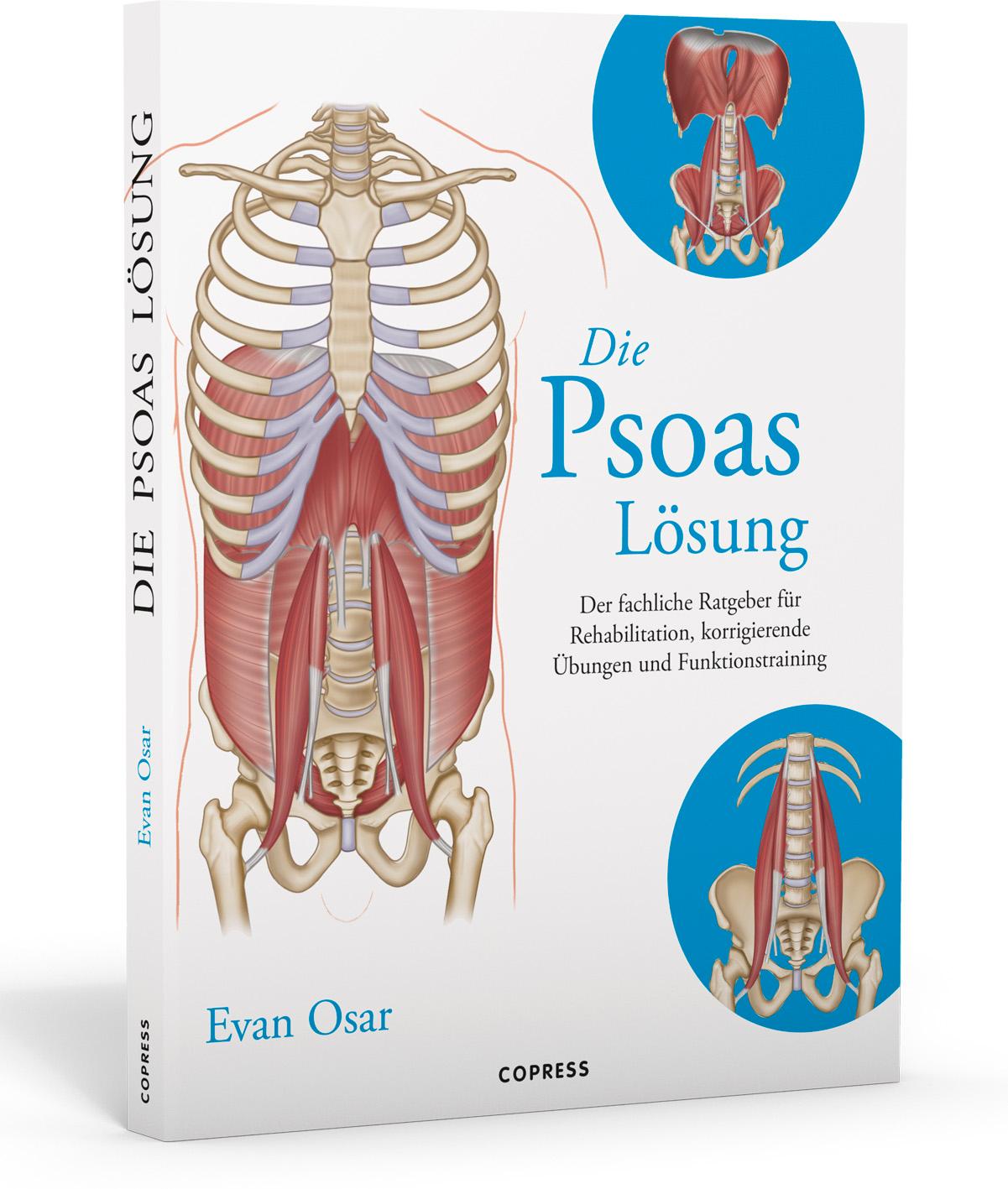 Vorderes Coverbild Die Psoas-Lösung
