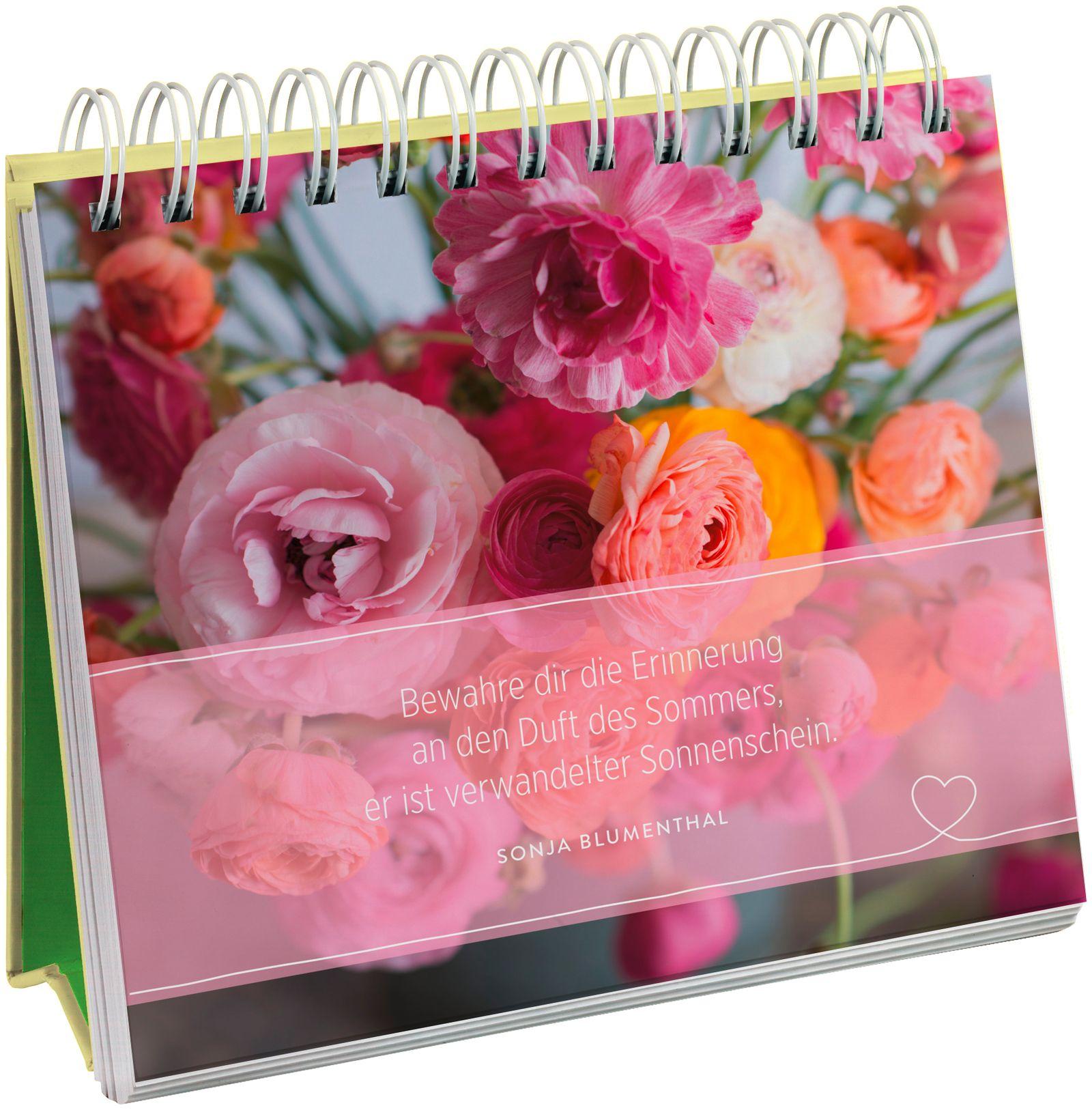 Beispielinhalt (Bild) Ein Strauß voll bunter Wünsche