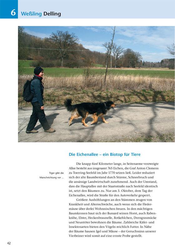 Beispielinhalt (Bild) Die schönsten Wanderungen mit Hunden