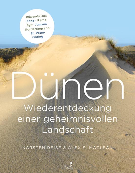 Vorderes Coverbild Dünen. Die Wiederentdeckung einer geheimnisvollen Landschaft
