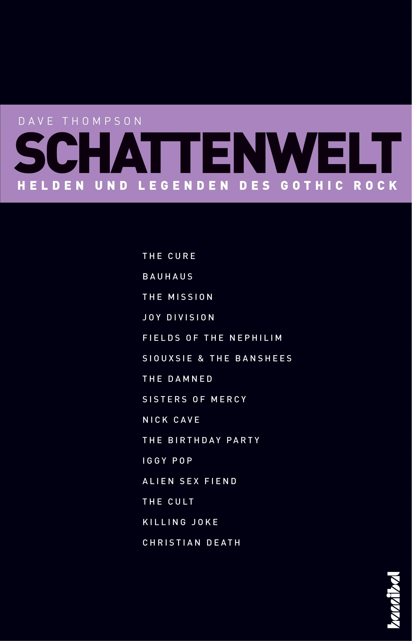 Vorderes Coverbild Schattenwelt
