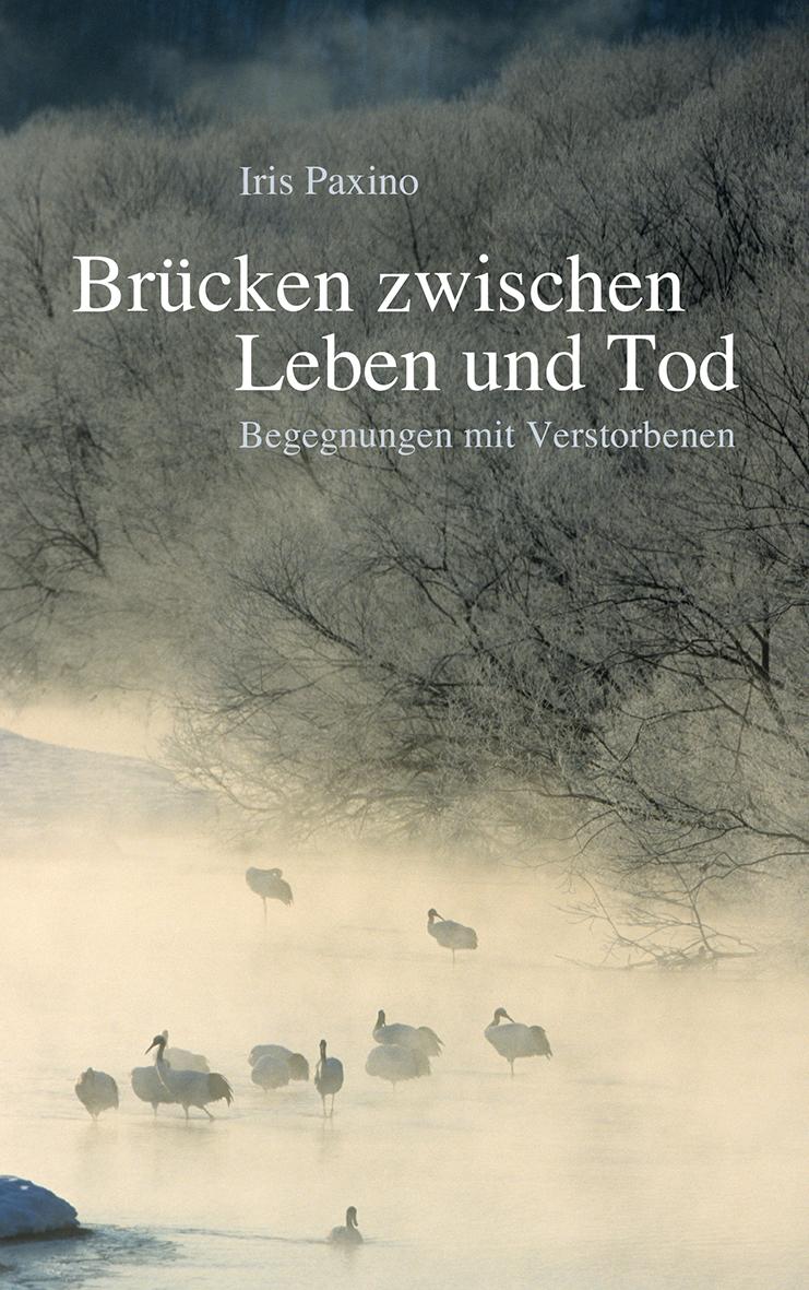 Vorderes Coverbild Brücken zwischen Leben und Tod