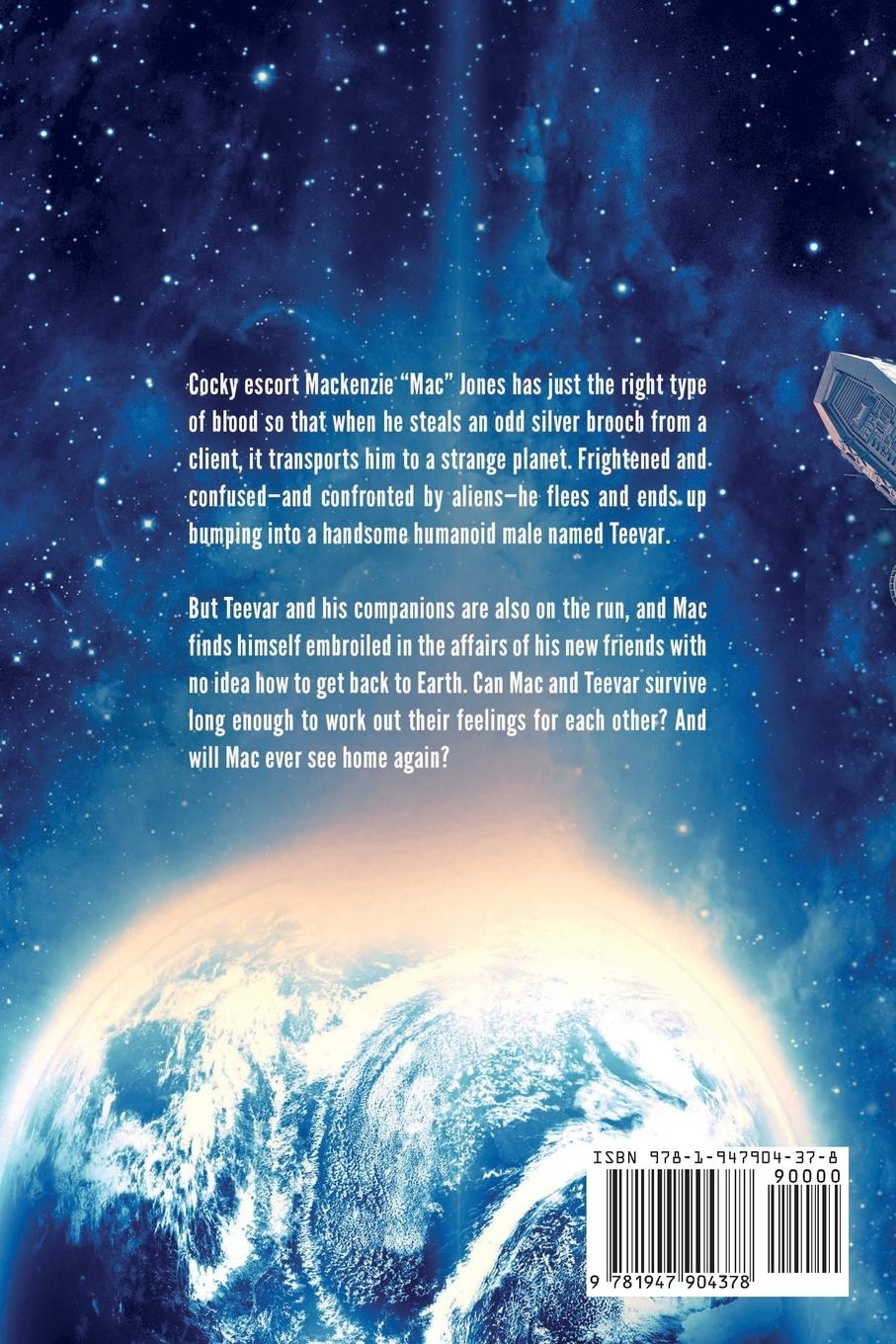 Rückseitencover Space Mac