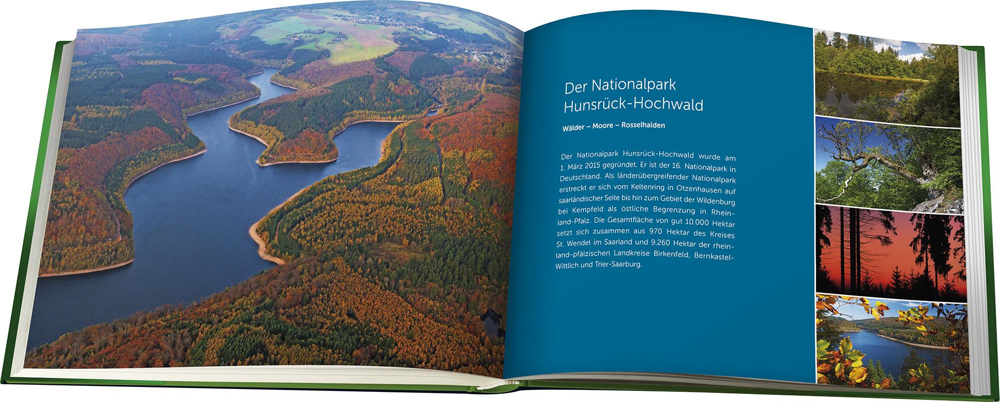 Beispielinhalt (Bild) Nationalpark Hunsrück-Hochwald