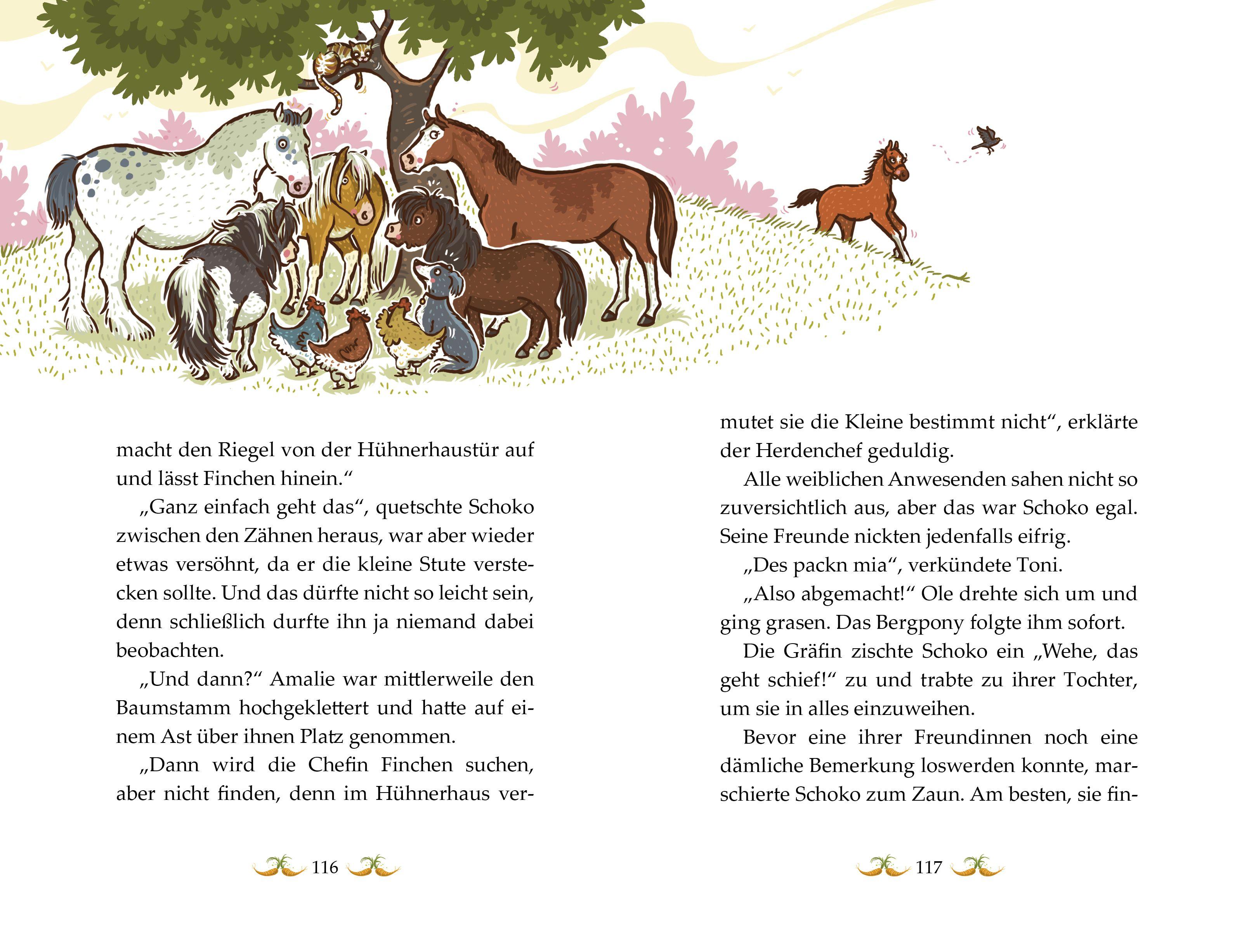 Beispielinhalt (Bild) Die Haferhorde 10 - Für kein Heu der Welt