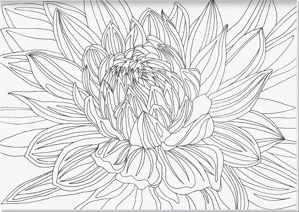 Beispielinhalt (Bild) Malerische Blütenwelt