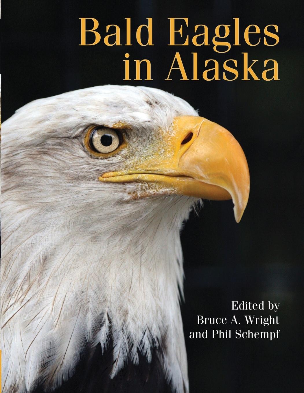 Vorderes Coverbild Bald Eagle in Alaska