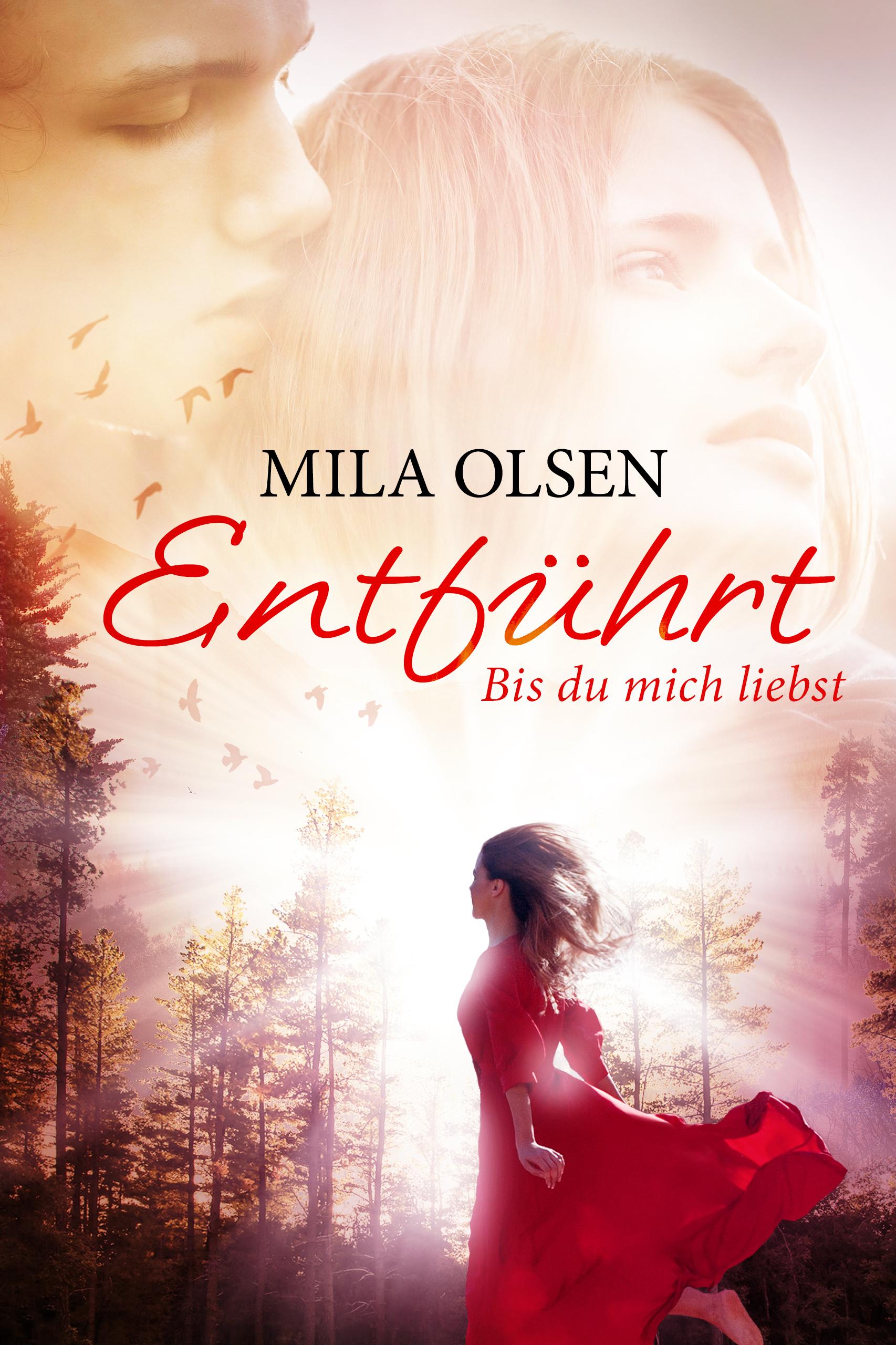 Vorderes Coverbild Entführt