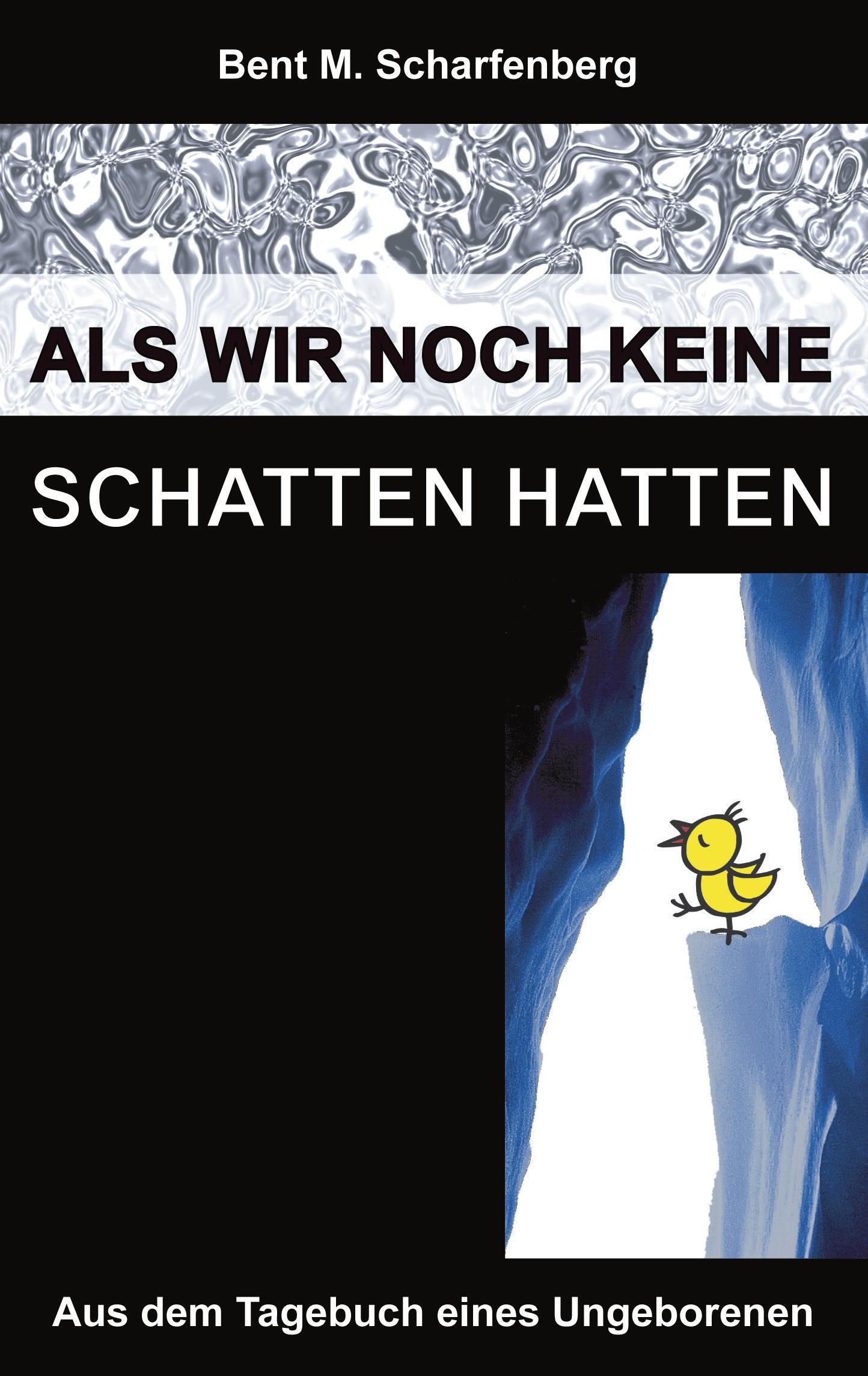 Vorderes Coverbild Als wir noch keine Schatten hatten