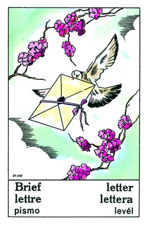 Beispielinhalt (Bild) Traditionelle Wahrsagekarten