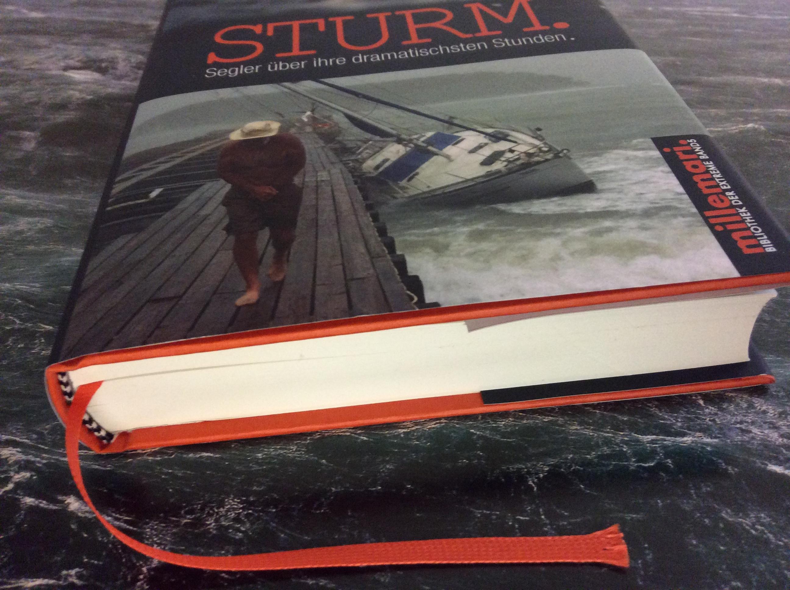 Beispielinhalt (Bild) Sturm.