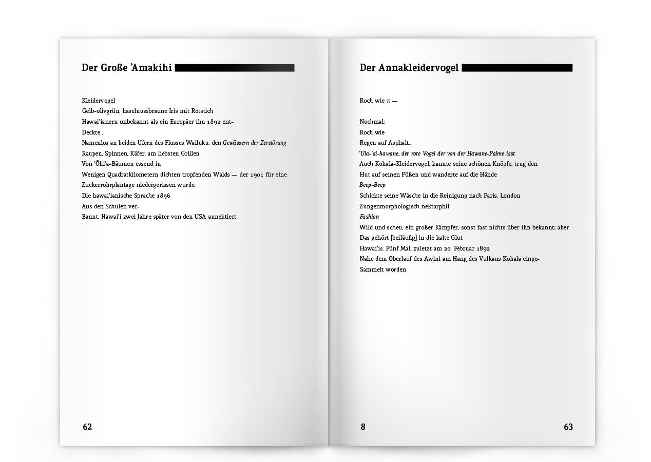 Beispielinhalt (Bild) Dodos auf der Flucht