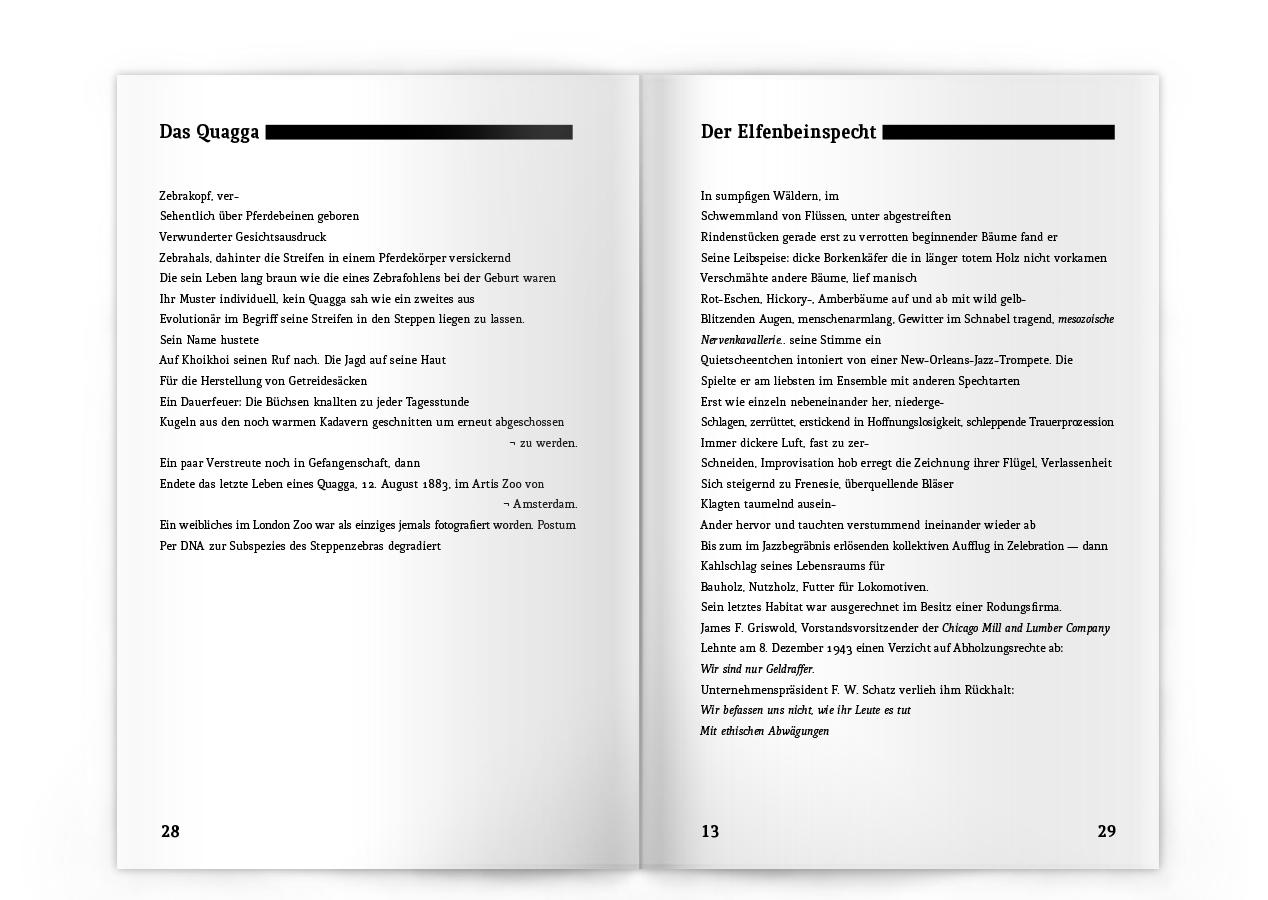 Beispielinhalt (Bild) Dodos auf der Flucht