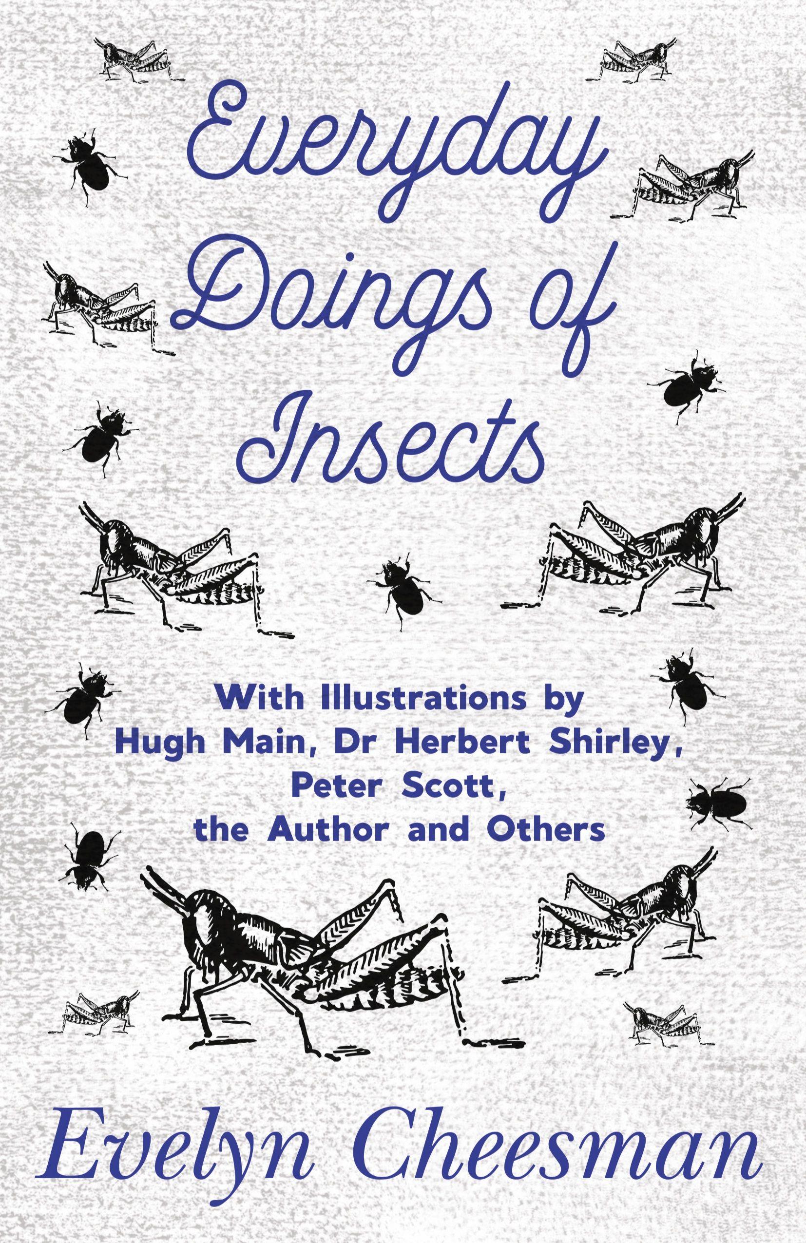 Vorderes Coverbild Everyday Doings of Insects - With Illustrations by Hugh Main, Dr Herbert Shirley, Peter Scott, the Author and Others