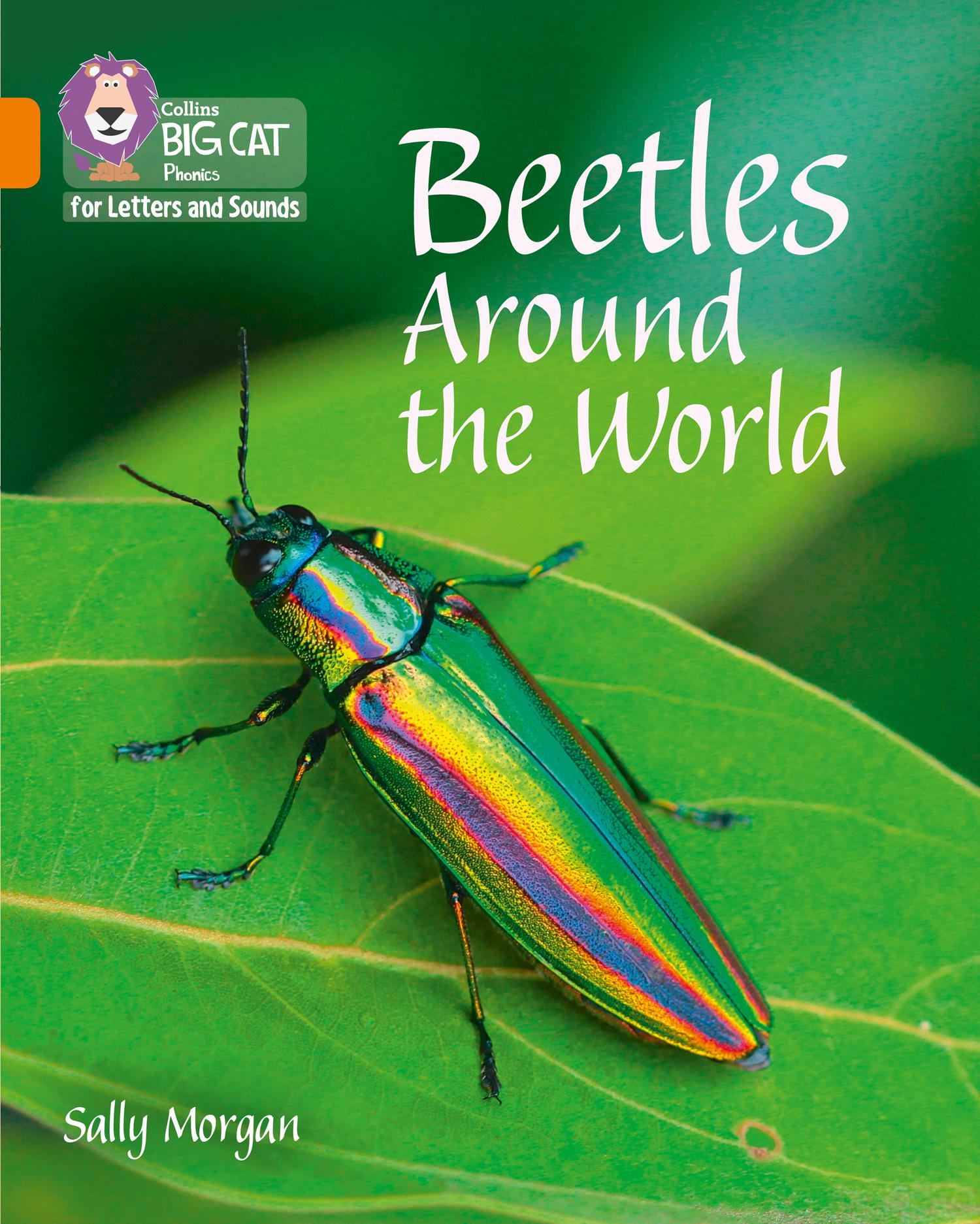 Vorderes Coverbild Beetles Around the World