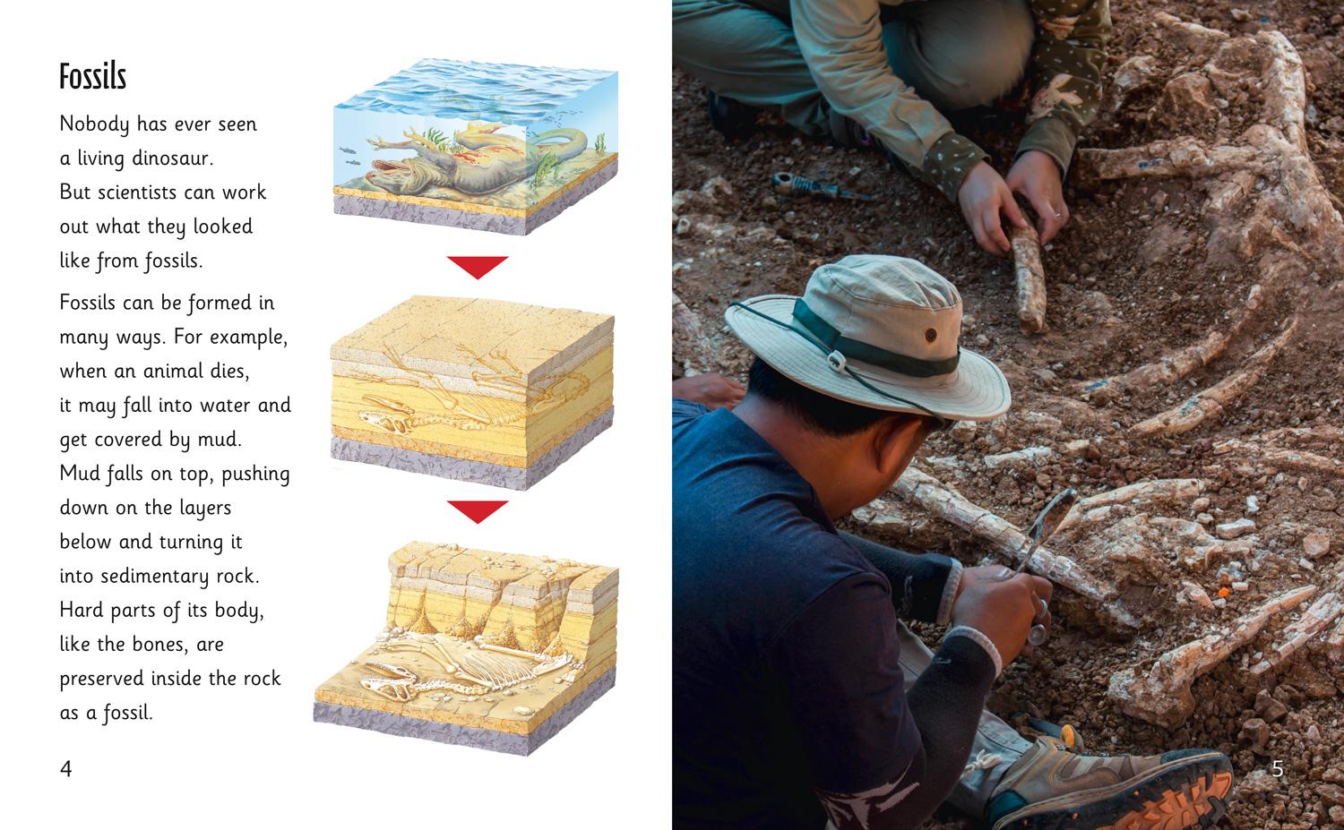 Beispielinhalt (Bild) Living Fossils