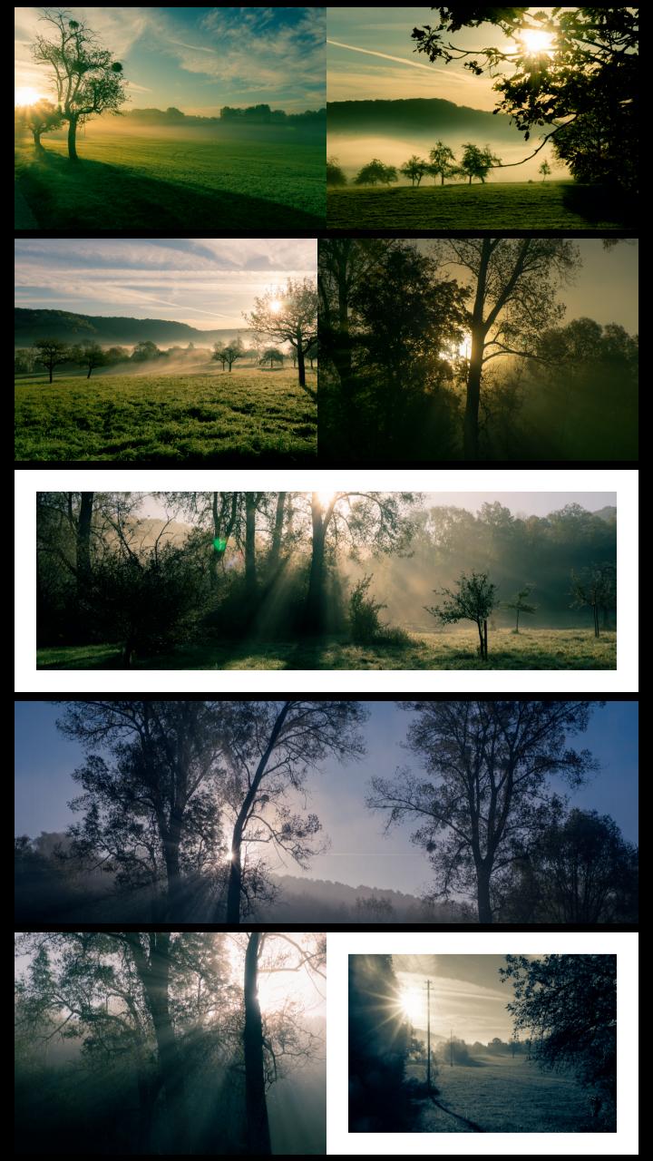 Beispielinhalt (Bild) Moments of nature