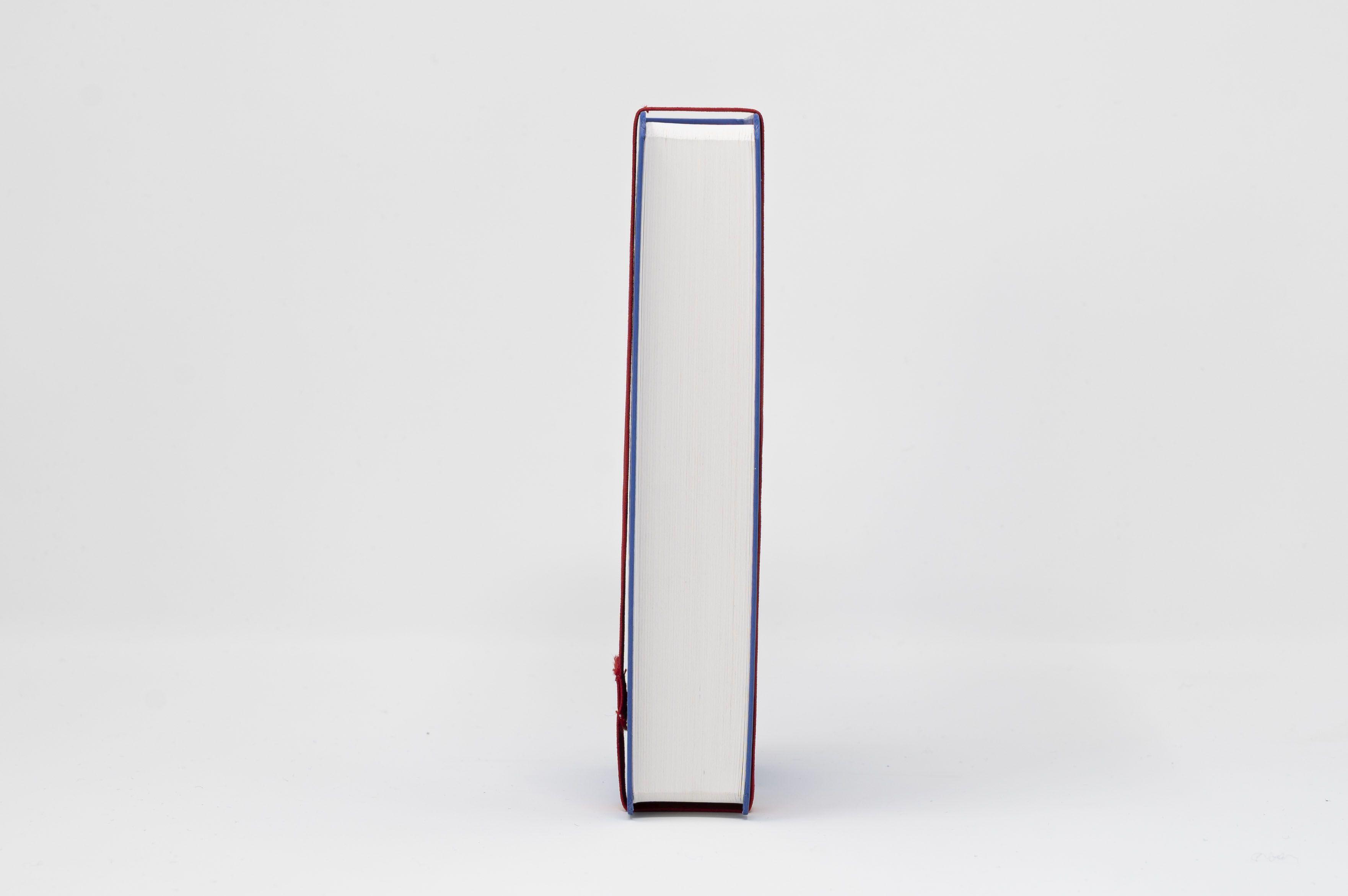 Beispielinhalt (Bild) Die Bibel. Taschenausgabe stripe mit roter loser Gummilitze