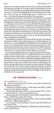 Beispielinhalt (Bild) Die Bibel. Taschenausgabe stripe mit roter loser Gummilitze