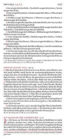 Beispielinhalt (Bild) Die Bibel. Taschenausgabe stripe mit roter loser Gummilitze