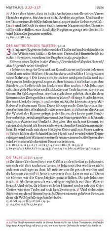 Beispielinhalt (Bild) Die Bibel. Taschenausgabe stripe mit roter loser Gummilitze