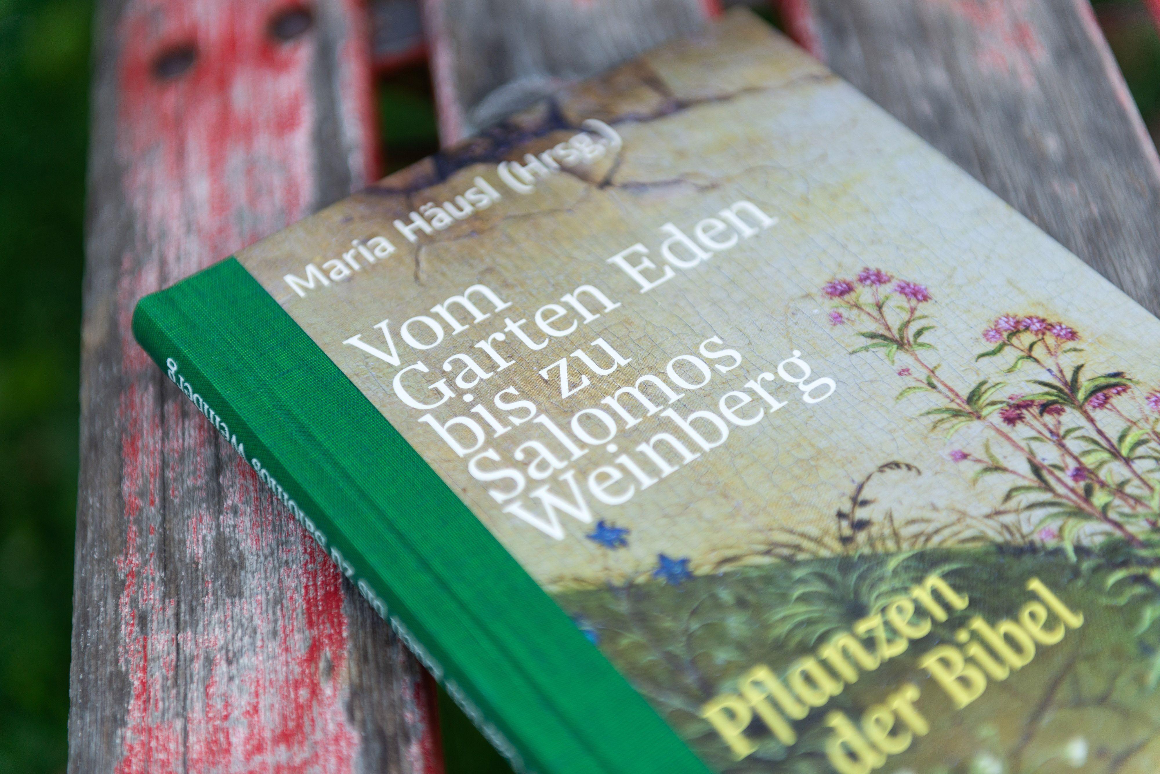 Beispielinhalt (Bild) Vom Garten Eden bis zu Salomos Weinberg