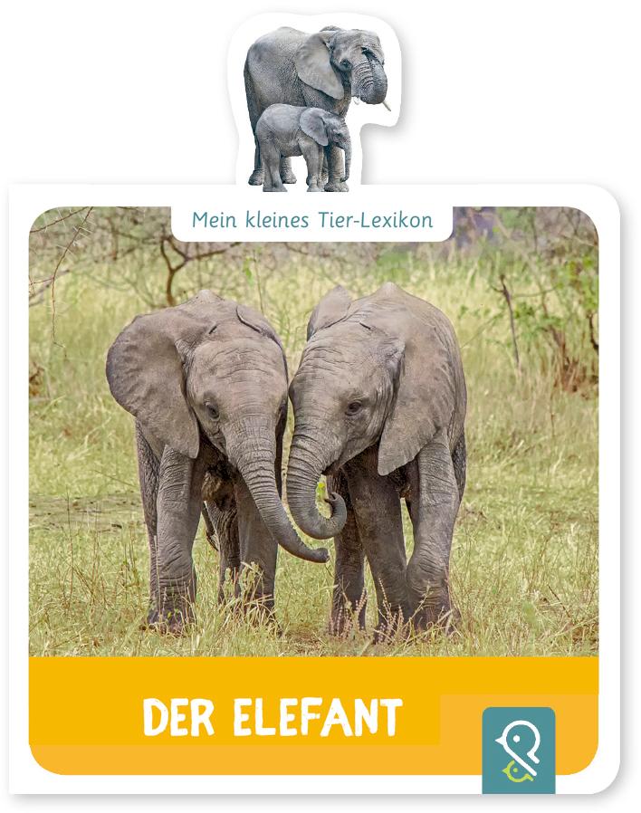 Vorderes Coverbild Mein kleines Tier-Lexikon - Der Elefant