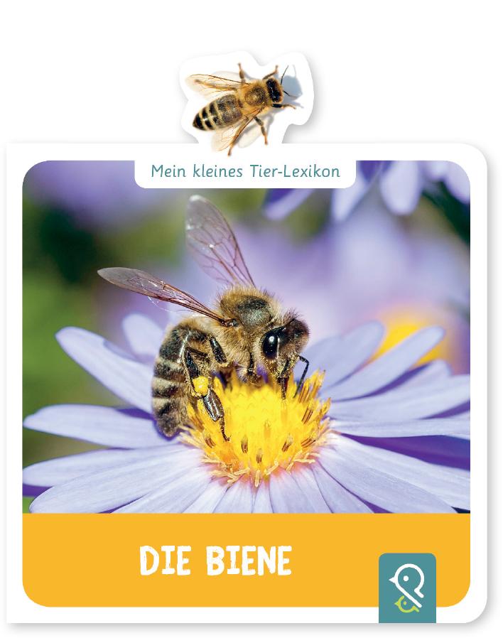 Vorderes Coverbild Mein kleines Tier-Lexikon - Die Biene