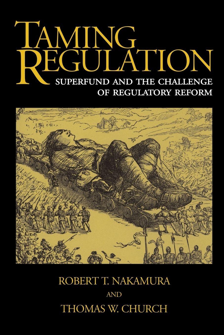Vorderes Coverbild Taming Regulation