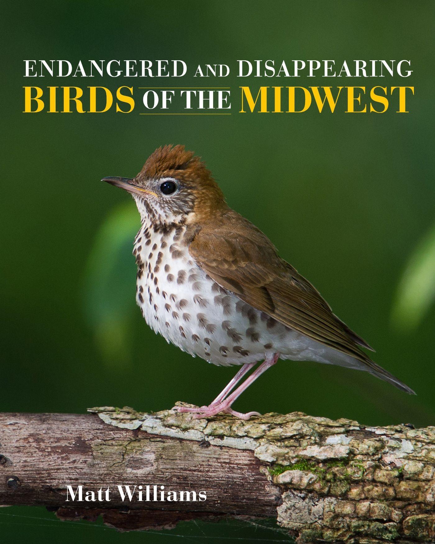 Vorderes Coverbild Endangered and Disappearing Birds of the Midwest