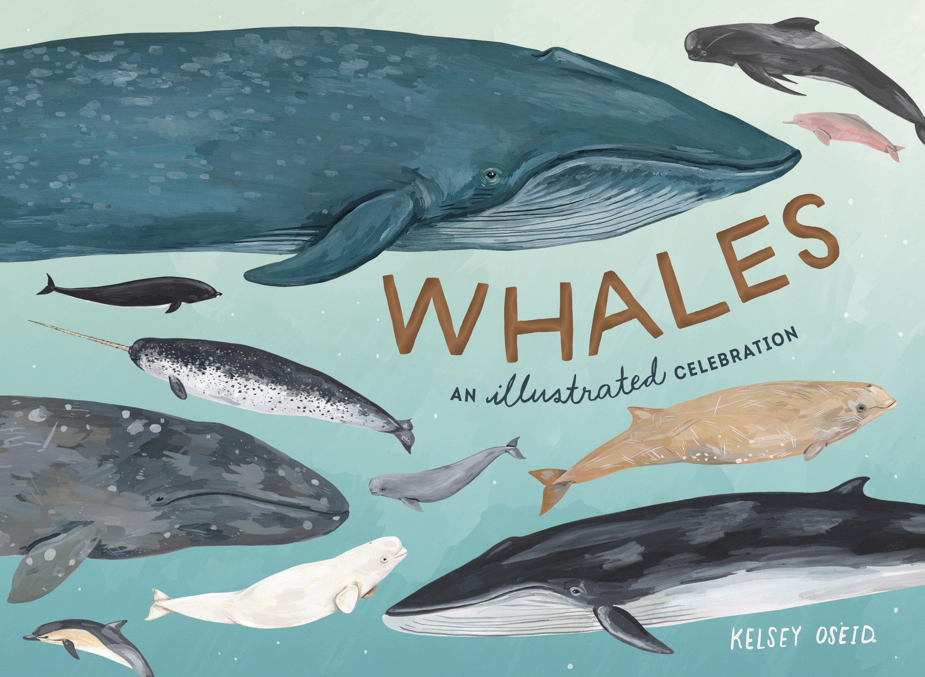 Vorderes Coverbild Whales