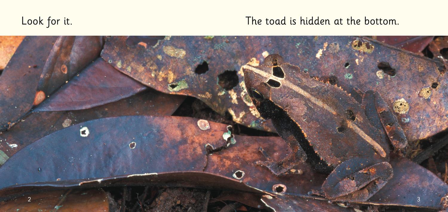 Beispielinhalt (Bild) It Is Hidden