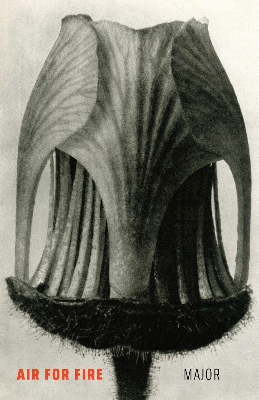 Vorderes Coverbild Air for Fire