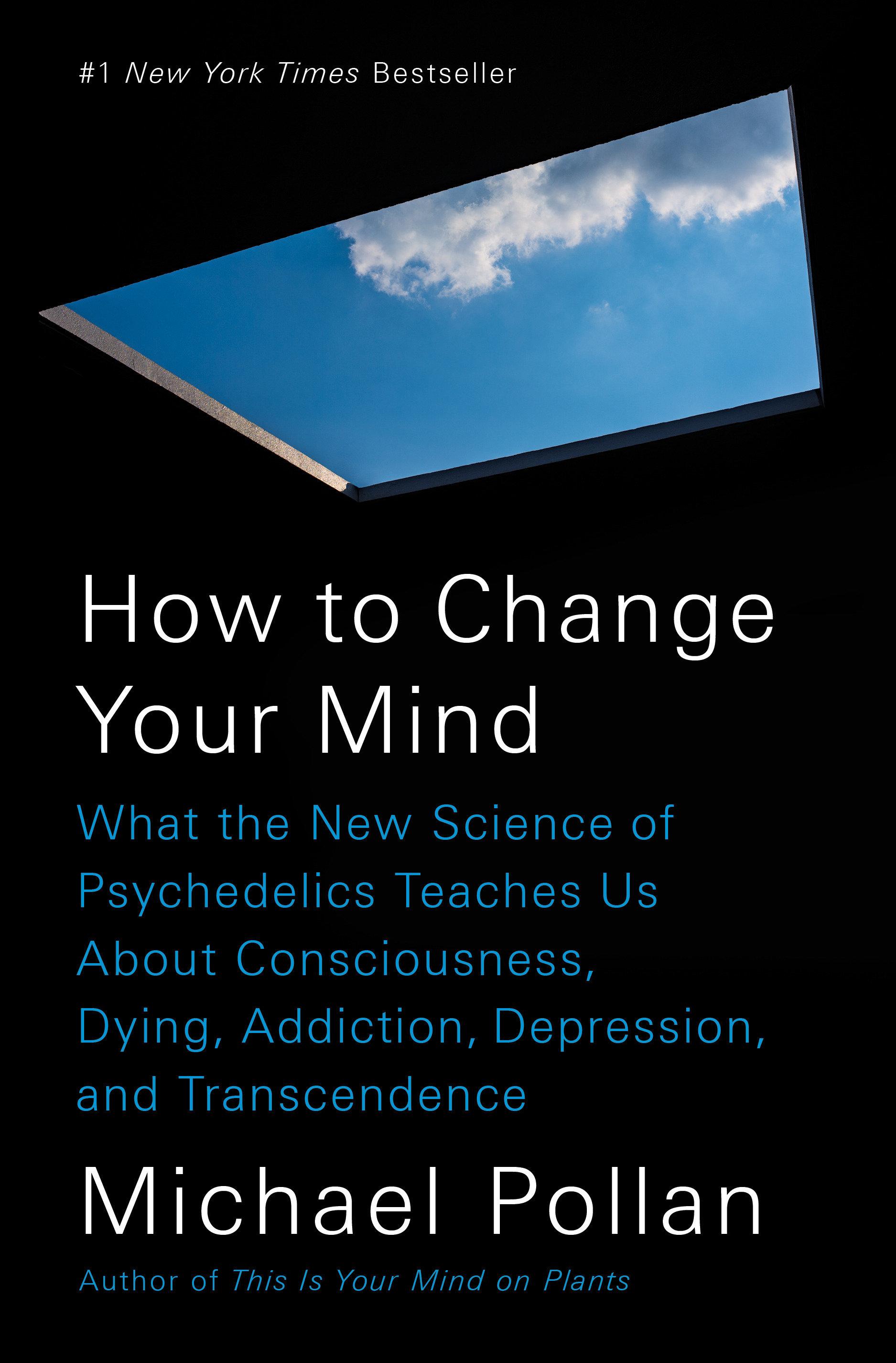 Vorderes Coverbild How to Change Your Mind