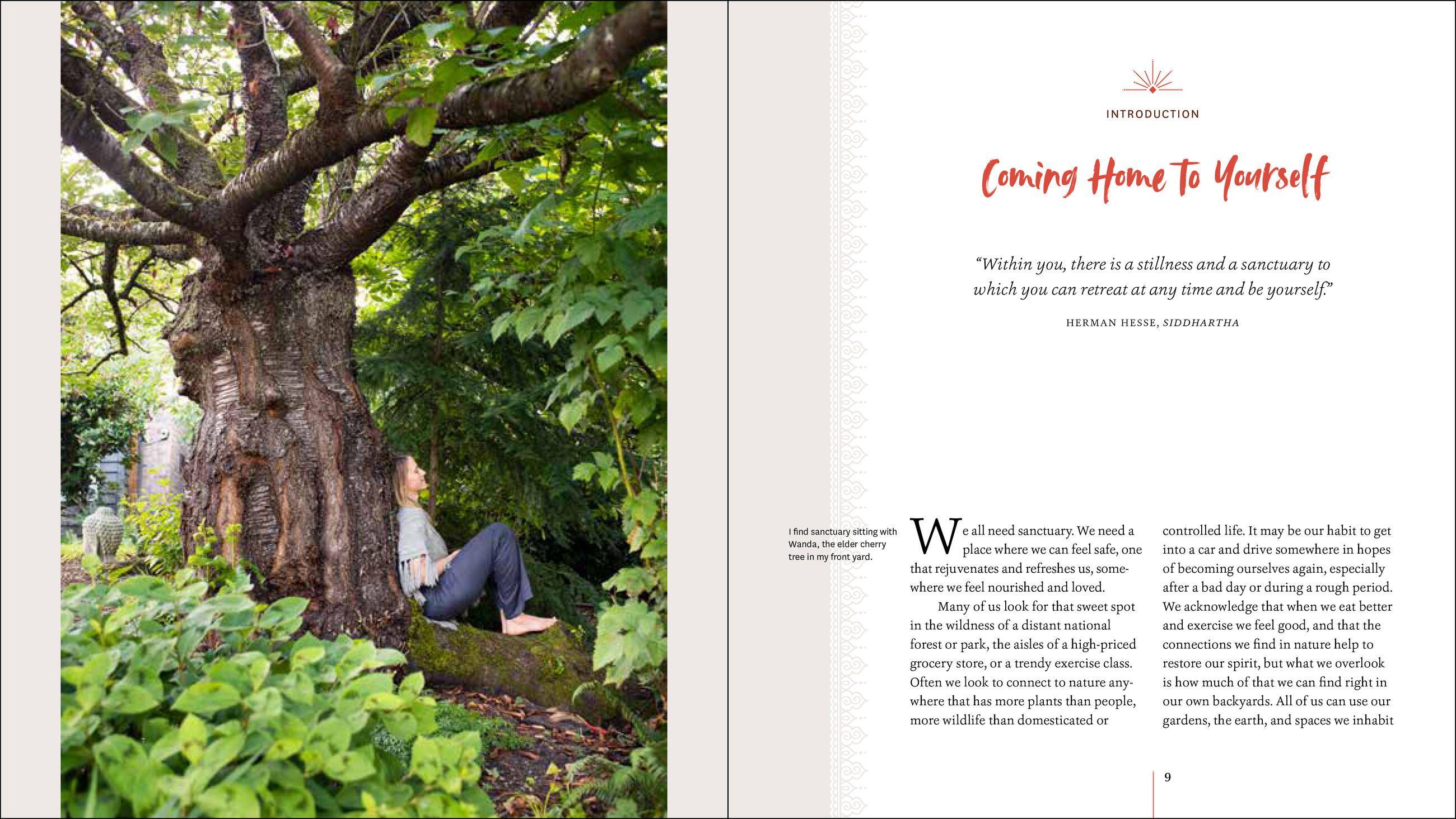 Beispielinhalt (Bild) Creating Sanctuary