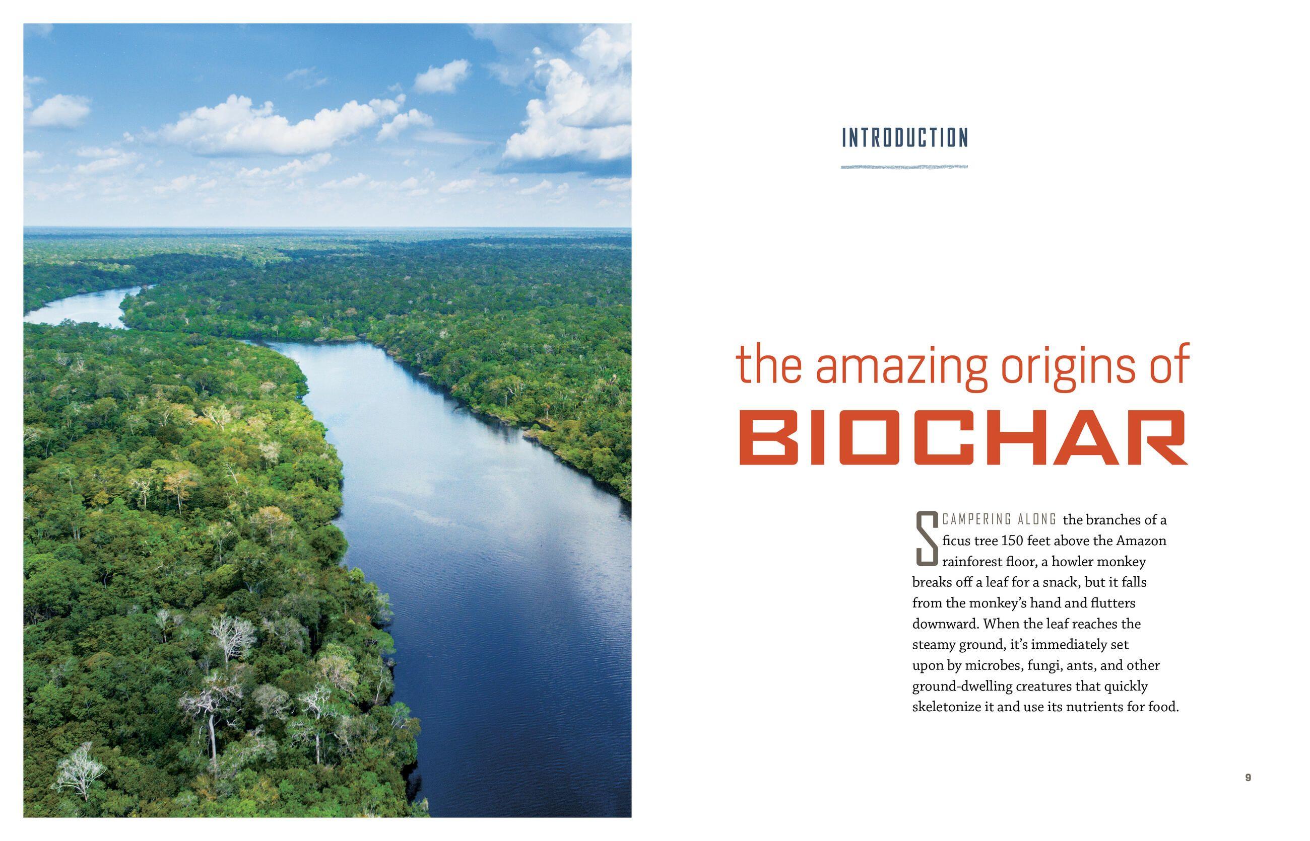 Beispielinhalt (Bild) Gardening with Biochar