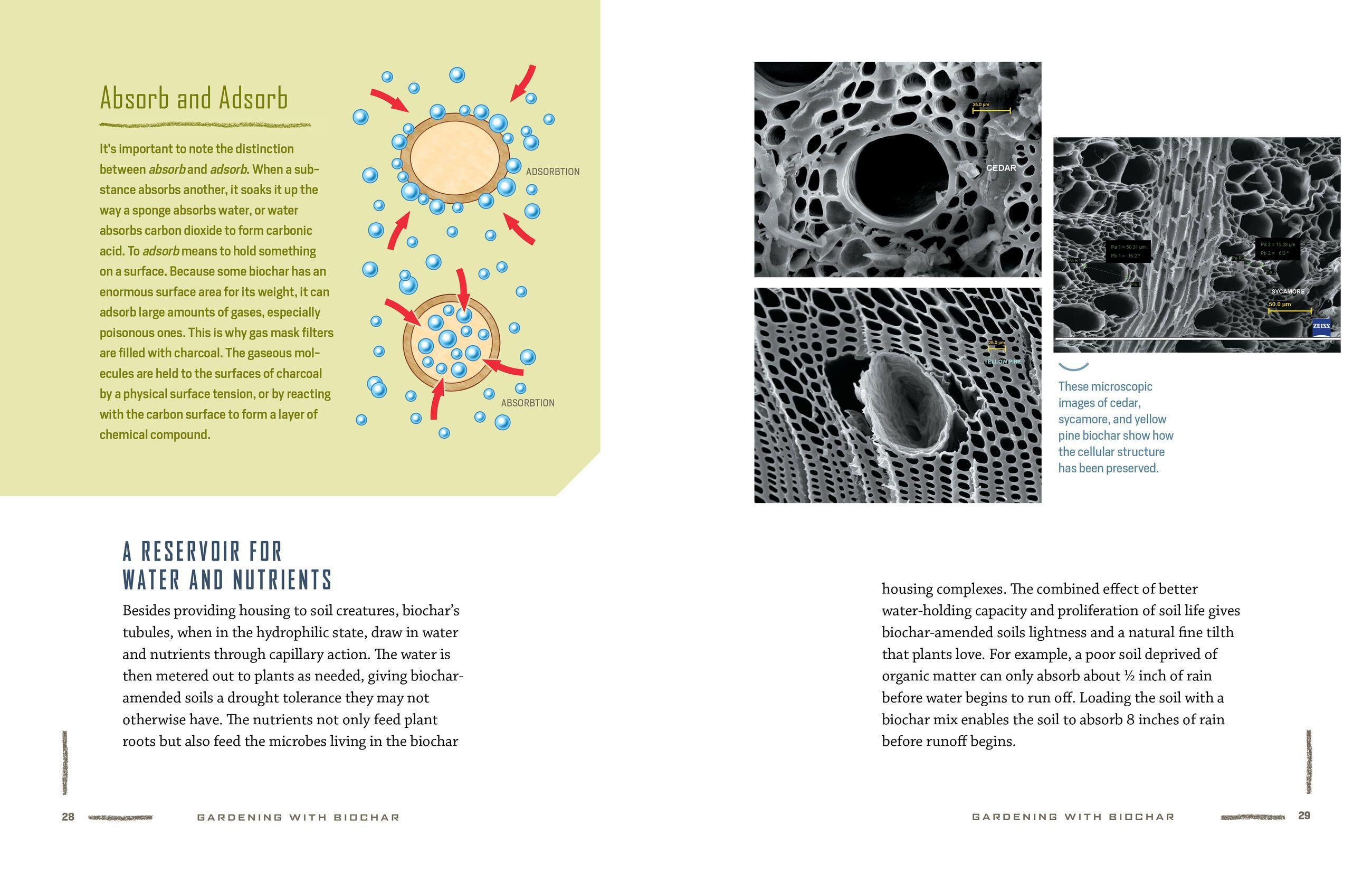 Beispielinhalt (Bild) Gardening with Biochar